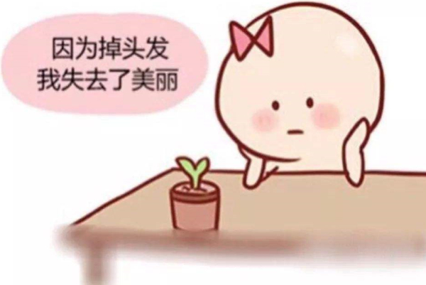 吃阿胶能生发吗