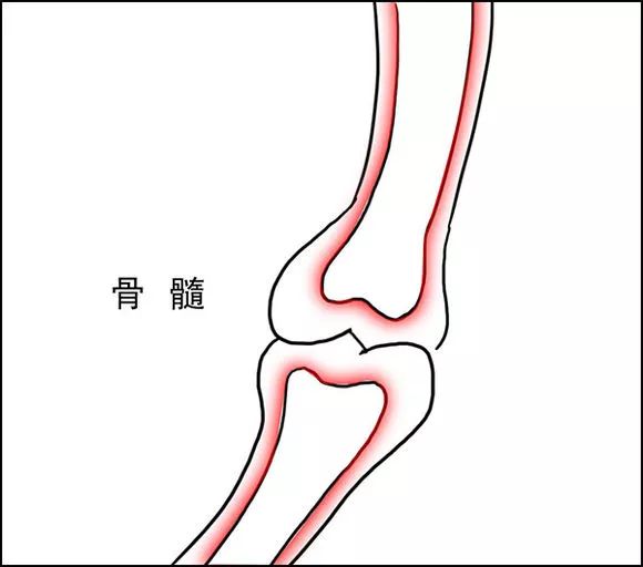 肾精到底是个啥？伤精人士必看！