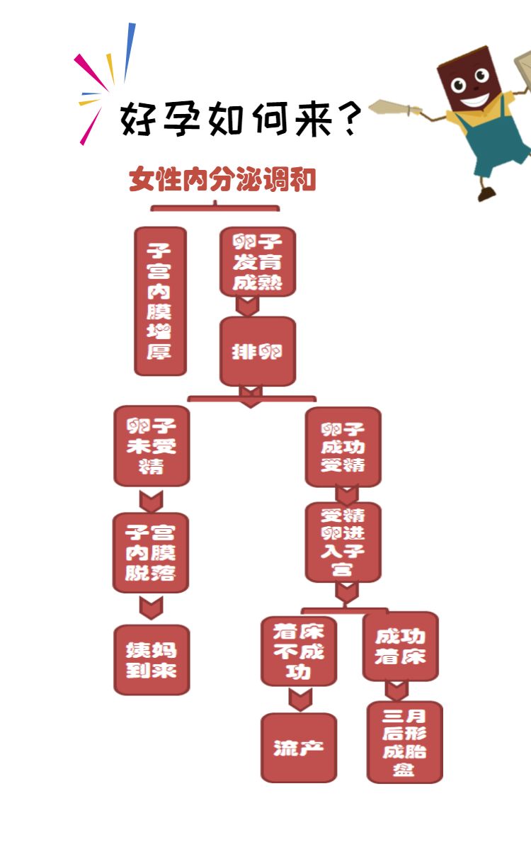 图说阿胶科技故事——好“孕”是怎么来的？