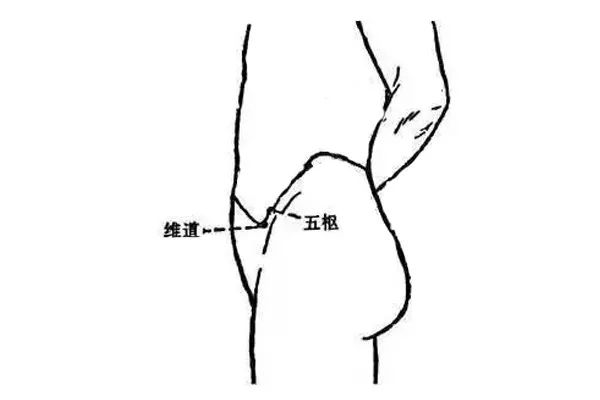 人体自带一条“长寿腰带”，它顺畅了，整个人就舒坦了