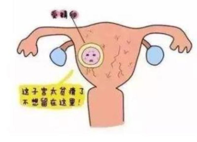 刚打胎后吃什么补身体、为什么女星怀孕那么难？别不在意