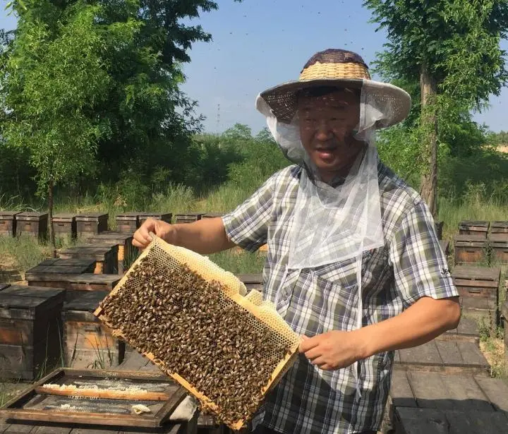 枣花蜜的功效与作用及禁忌?枣花蜜适合什么人群?