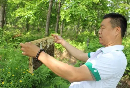 绿豆蜂蜜汤的功效与作用？绿豆蜂蜜可以一起吃吗？