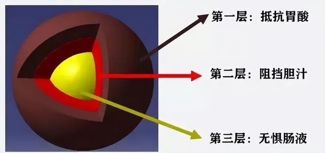 益生菌有依赖性吗？可以长期吃吗？科学服用最重要