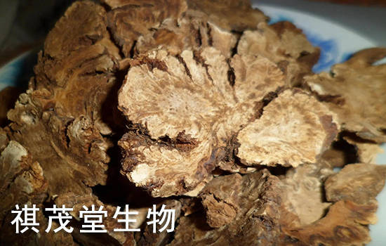 川芎提取物的功效与作用，兽用川芎提取物用法用量功能主治，川芎兽药配伍说明