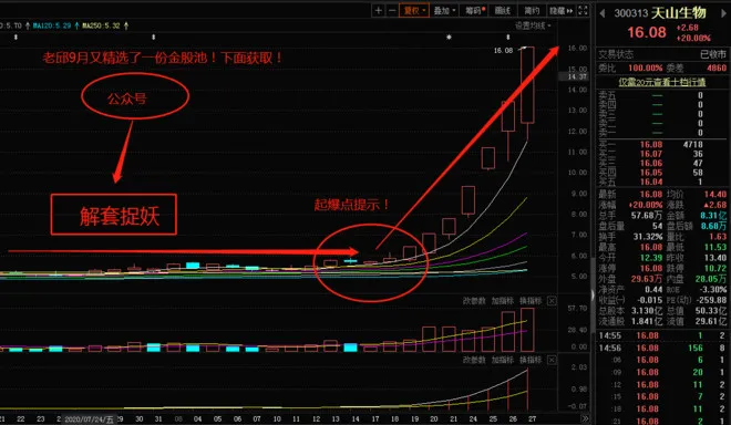 东阿阿胶：药中茅台暴跌143.5%，“驴皮”被锤！（000423）