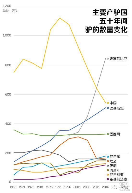 10万块的阿胶才是真正的男科神药！