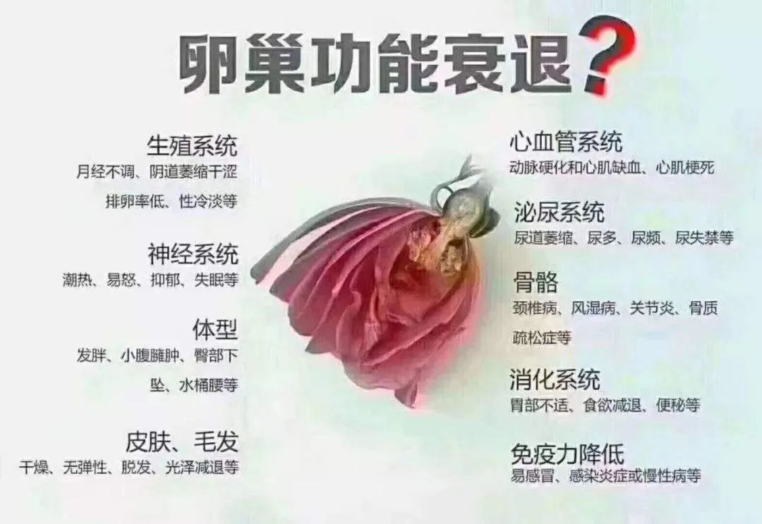 卵巢早衰怎么办？干细胞修复卵巢功能，留住青春脚步