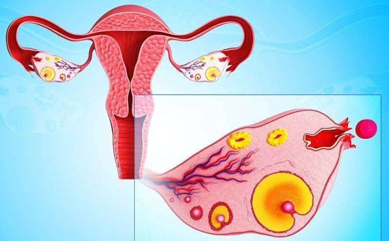 月经量少、不规律就是卵巢早衰吗？6大信号提示“卵巢早衰”！