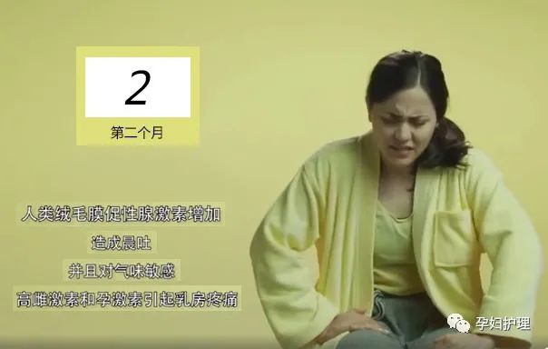 怀胎十月：每月“胎儿发育及孕妇注意”，贴心又实用，孕妈收藏