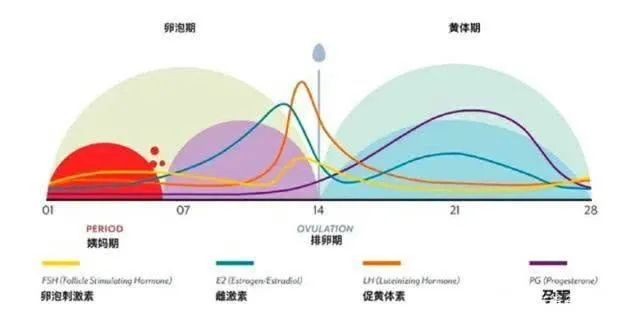 “胎停”越来越多，原因主要有3种，早了解早预防，孕妈别大意