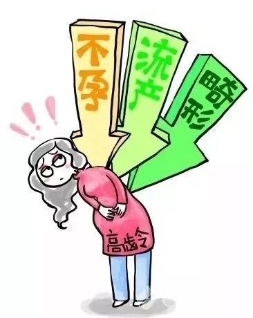 都有胎心胎芽了，为什么胚胎还是停育了呢？