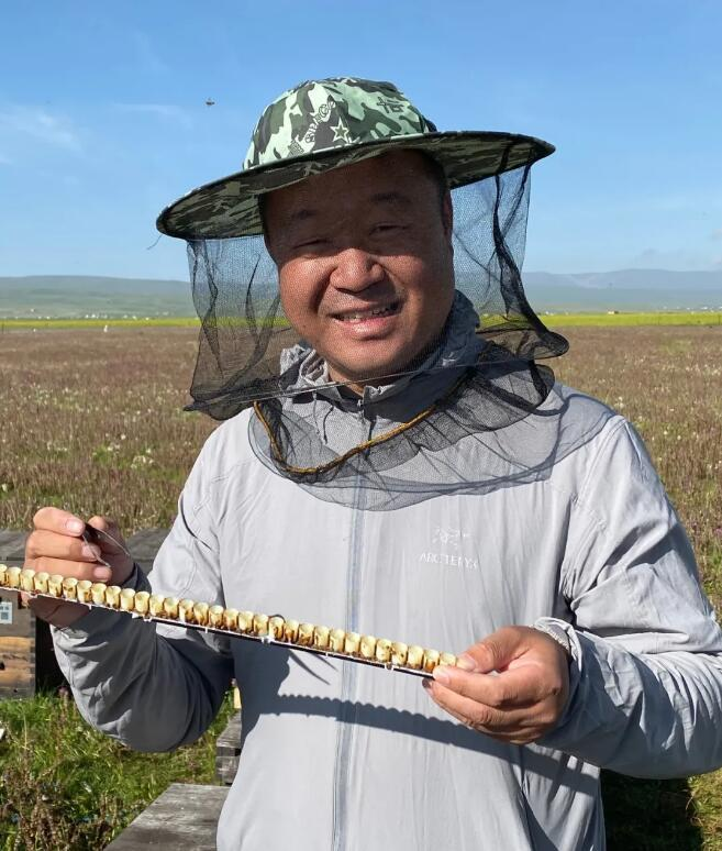 什么人不适合吃蜂王浆?蜂王浆适合哪些人群吃?