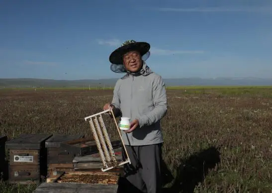 什么人不适合吃蜂王浆?蜂王浆适合哪些人群吃?