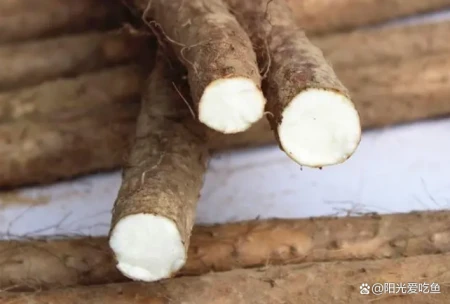 “人老脾先衰，脾虚百病生”，4种食物建议多吃，腿脚有劲精神足