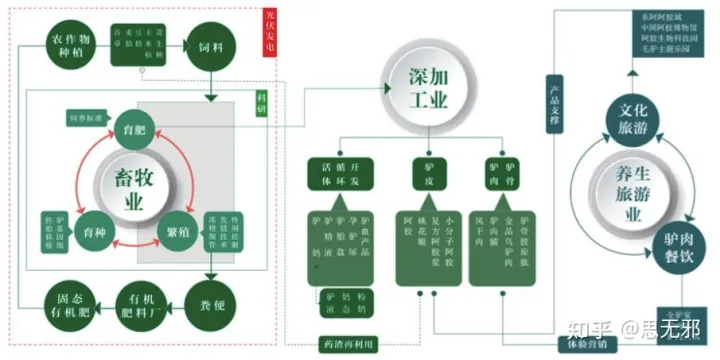 东阿阿胶简析