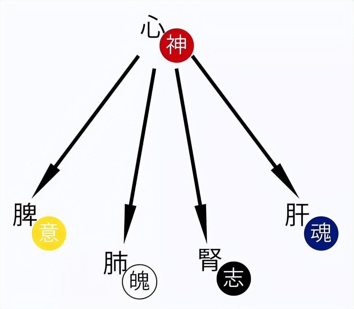 中医学理论解析：失眠的病因、病机