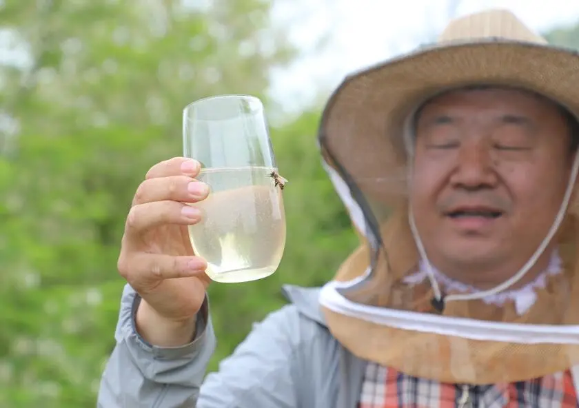 野山花蜜的功效与禁忌?野山花蜜和蜂蜜区别