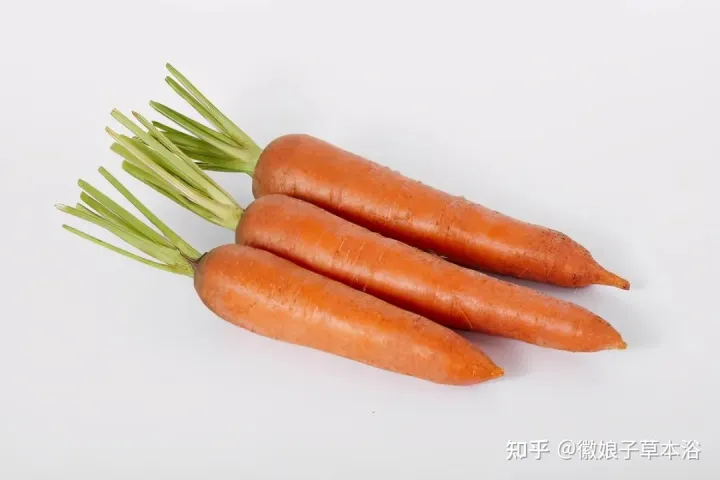 脾胃虚弱的人怎么食补，应该注意什么？