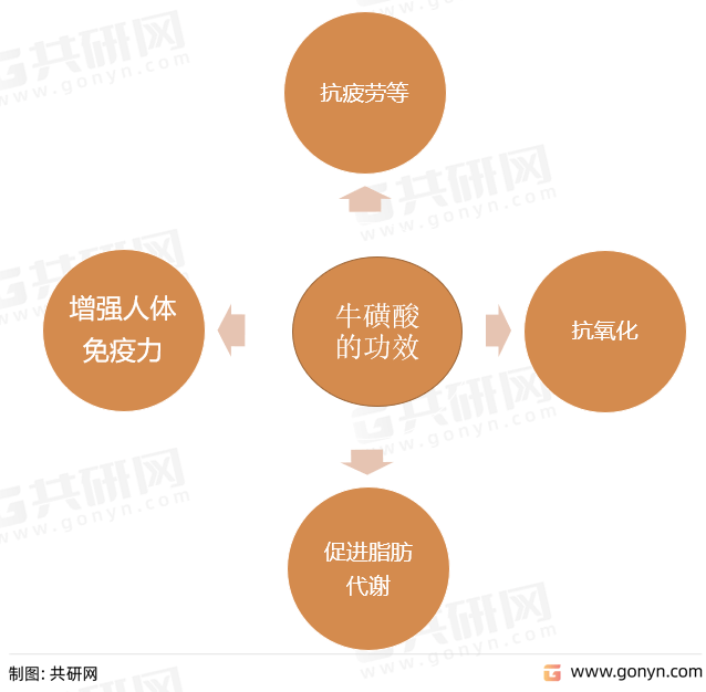 2022年中国牛磺酸功效作用及主要生产企业批文一览[图]