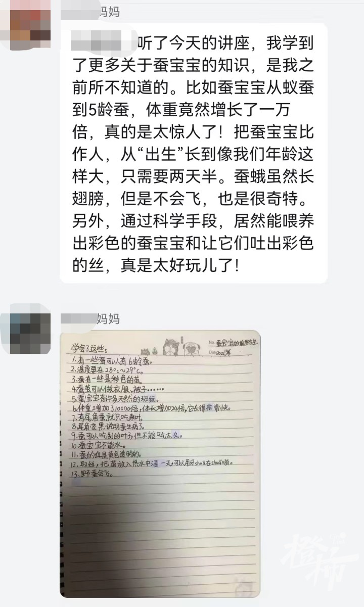 蚕宝宝可以吃吗？蚕有牙齿吗？蚕是什么血型……杭州小学生对话养蚕博士，一个敢问一个敢答