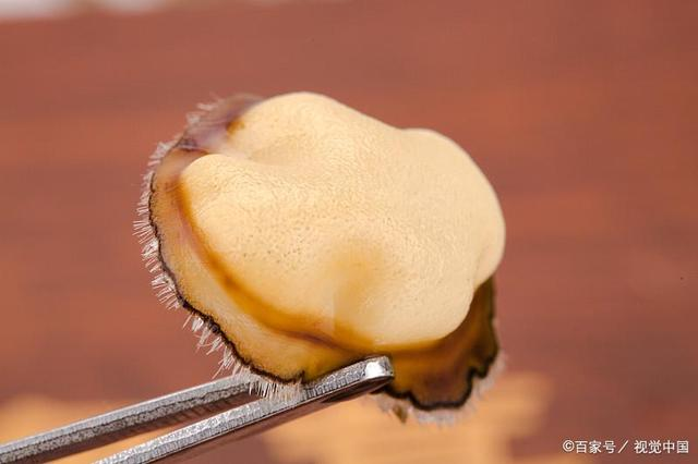 科普鹿茸的功效和作用！鹿茸常见食用方法！