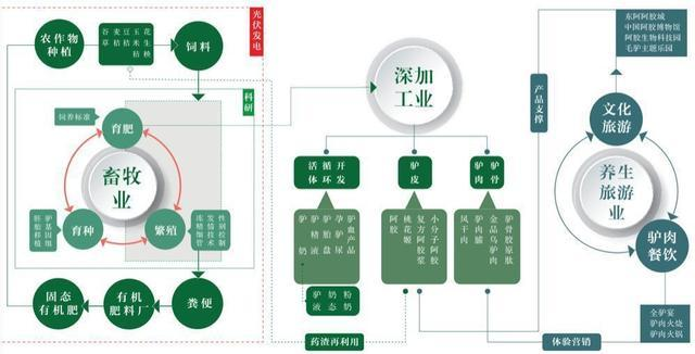 白马股东阿阿胶十年最差业绩出炉：驴皮吹破的实锤？